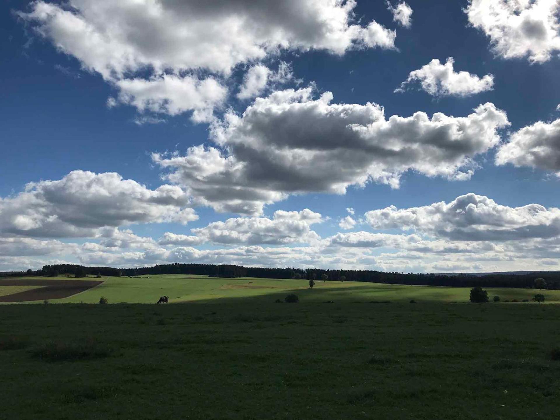 Gaestehaus Roessle Roetenbach  Bagian luar foto