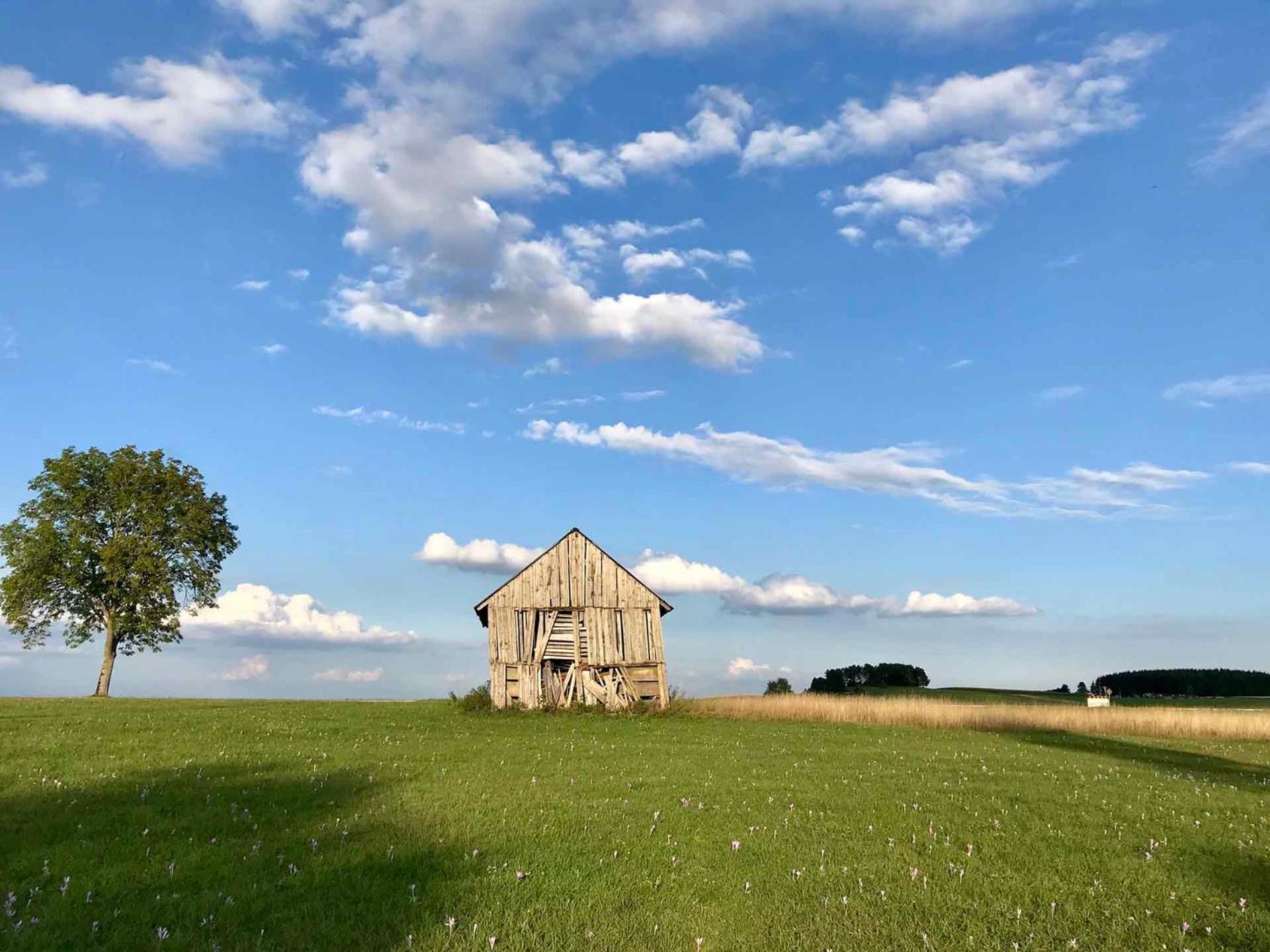 Gaestehaus Roessle Roetenbach  Bagian luar foto